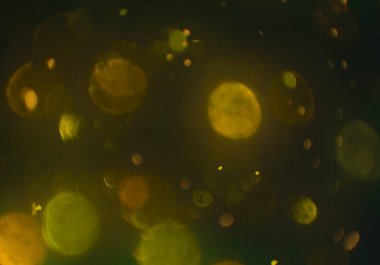 parlayan bokeh daireler ışıklar duvar kağıdı