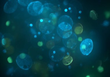 parlak bokeh ışıkları ile dijital duvar kağıdı 