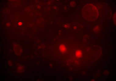 bokeh ve metin için alan ile soyut duvar kağıdı