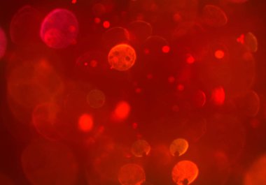 parlayan parıltılar bokeh daireler ışıklar duvar kağıdı