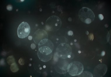 parlayan parıltılar bokeh daireler ışıklar duvar kağıdı