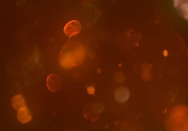 parlayan parıltılar bokeh daireler ışıklar duvar kağıdı