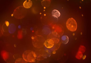 parlayan parıltılar bokeh daireler ışıklar duvar kağıdı