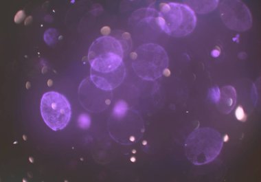 parlayan parıltılar bokeh daireler ışıklar duvar kağıdı