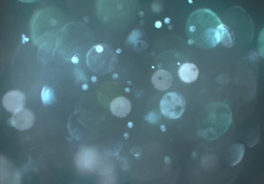 metin veya görüntü için alan ile bokeh arka plan