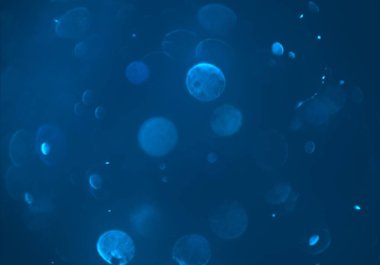 parlayan parıltılar duvar kağıdı, bokeh daireler Arka plan ışıkları