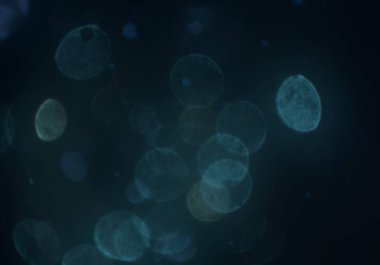 mavi ve beyaz arkaplan