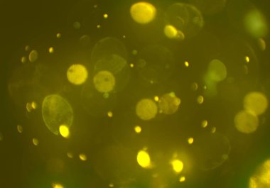 soyut renkli arkaplan, alanı kopyala