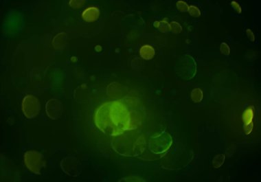 bokeh ve metin için alan ile soyut duvar kağıdı