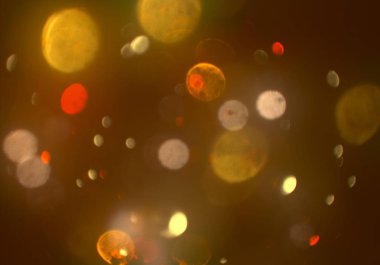 parlayan parıltılar duvar kağıdı, bokeh daireler Arka plan ışıkları