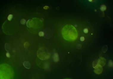 bokeh ve metin için alan ile soyut duvar kağıdı