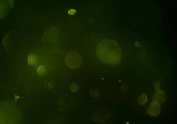 Glowing Bokeh Circles Lights Wallpaper — Stock Photo, Image