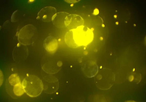 Glowing Glitters Bokeh Circles Lights Wallpaper — Stock Photo, Image