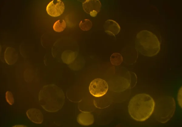 Glödande Glitter Bokeh Cirklar Lampor Tapet — Stockfoto