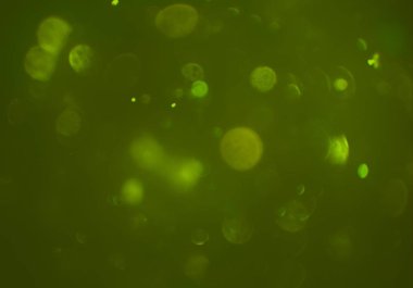 bokeh ve metin için alan ile soyut duvar kağıdı