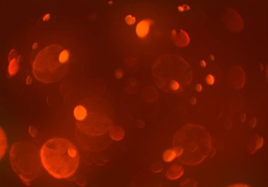 parlayan parıltılar duvar kağıdı, bokeh daireler Arka plan ışıkları