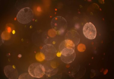 parlayan parıltılar duvar kağıdı, bokeh daireler Arka plan ışıkları