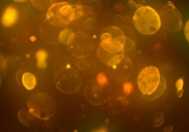 parlayan parıltılar duvar kağıdı, bokeh daireler Arka plan ışıkları