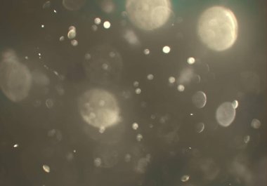 parlayan parıltılar duvar kağıdı, bokeh daireler Arka plan ışıkları