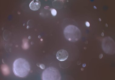 parlayan parıltılar duvar kağıdı, bokeh daireler Arka plan ışıkları