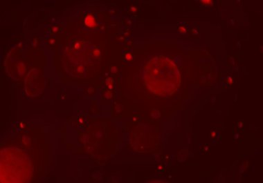 parlayan parıltılar duvar kağıdı, bokeh daireler Arka plan ışıkları