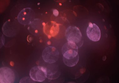 parlayan parıltılar duvar kağıdı, bokeh daireler Arka plan ışıkları