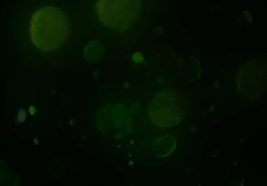 parlayan parıltılar duvar kağıdı, bokeh daireler Arka plan ışıkları