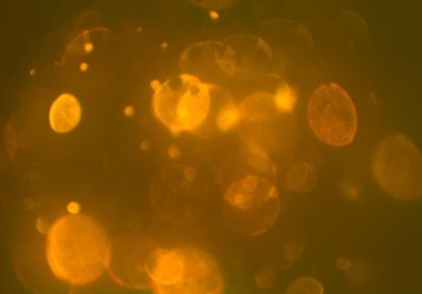 soyut renkli arkaplan, alanı kopyala