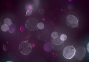 parlak bokeh ışıkları ile dijital duvar kağıdı 