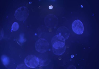 parlak bokeh ışıkları ile dijital duvar kağıdı 