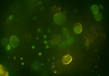 soyut arkaplan, kopyalama alanı