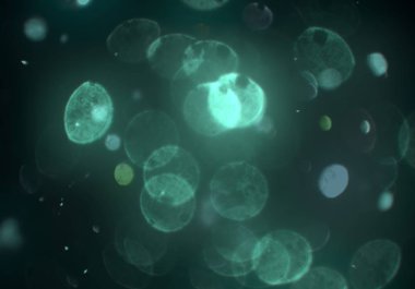 kopya alanı ile bokeh ışıkları dijital arka plan