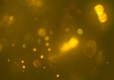 metin veya görüntü için alan ile bokeh arka plan