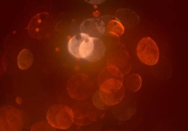 parlayan parıltılar duvar kağıdı, bokeh daireler Arka plan ışıkları