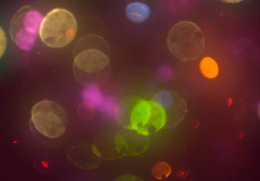 parlayan parıltılar duvar kağıdı, bokeh daireler Arka plan ışıkları