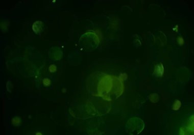 parlayan parıltılar duvar kağıdı, bokeh daireler Arka plan ışıkları