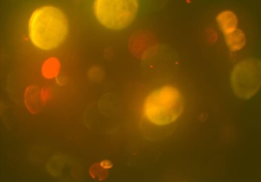 afiş tasarımı için soyut yaratıcı arka plan