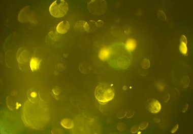 bokeh ve metin için alan ile soyut duvar kağıdı