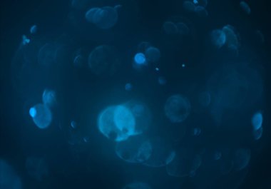 metin veya görüntü için alan ile bokeh arka plan