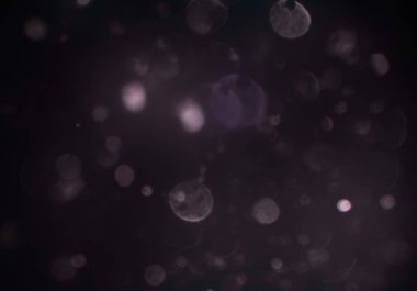 parlayan parıltılar duvar kağıdı, bokeh daireler Arka plan ışıkları