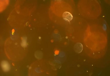 parlayan parıltılar duvar kağıdı, bokeh daireler Arka plan ışıkları