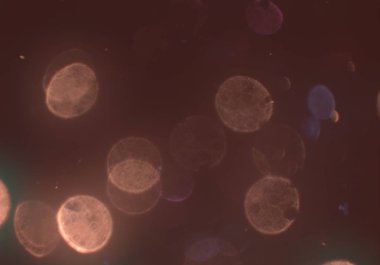 parlayan parıltılar duvar kağıdı, bokeh daireler Arka plan ışıkları