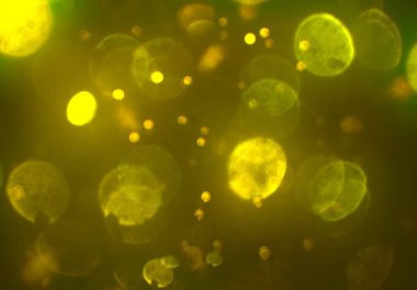 parlayan parıltılar duvar kağıdı, bokeh daireler Arka plan ışıkları