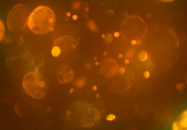 bokeh daireler ışıkları arka plan
