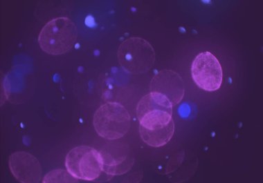 bokeh daireler ışıkları arka plan