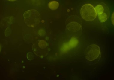 bokeh daireler ışıkları arka plan