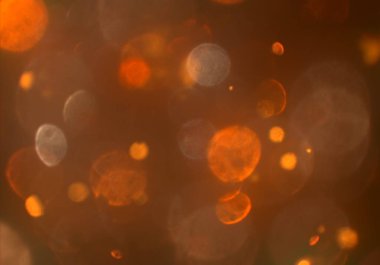 bokeh daireler ışıkları arka plan