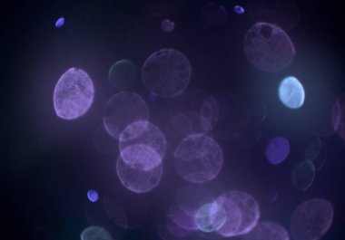 bokeh daireler ışıkları arka plan