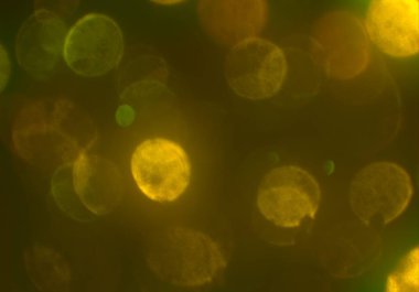 parlak bokeh ışıkları ile dijital duvar kağıdı 