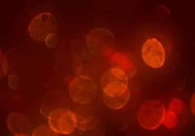 Tasarımınız için parlak bokeh arka plan